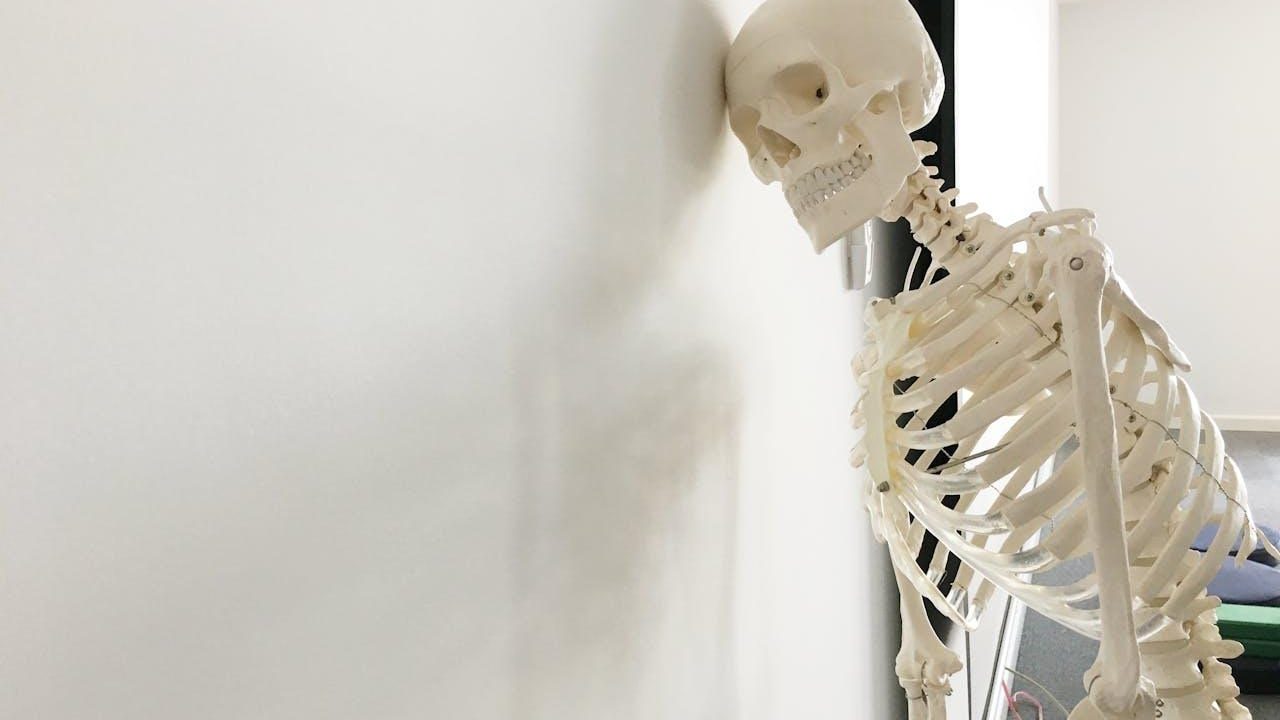 Esqueleto anatómico recargado en la pared